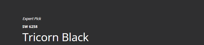 Sherwin-Williams Tricorn Black (SW 6258)
Sleek, dark black-brown that provides a dramatic and grounding effect, ideal for a tranquil retreat.